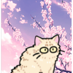 Little cat UwU