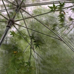 🌿⋆｡°✩
