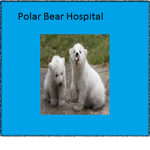 Polar Bear Hospital