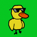 Swag Ducks