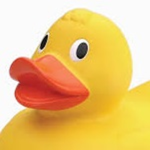 Ducc Game
