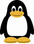 PinGuinss