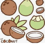 Coconuts girls