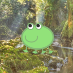 The Froggy Squad !