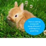 Courageous Bunnies
