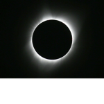 Solar Eclipse Fans!