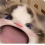 케이드YT그룹