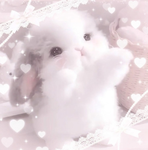 -Bunnify