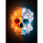 The Skull Y's