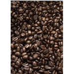 -Birch Coffee Co-