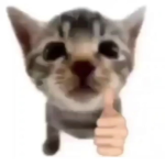 aesboom