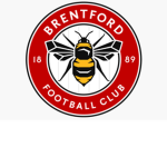 Roblox Bees Football Club