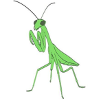 The Mantis Plays Fan group