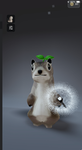 Squirrels official army
