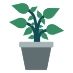 Plantinha Studios