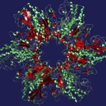 s.c.p 008 zombie surrvival