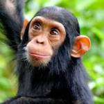 SingingMonke’s Clothing store