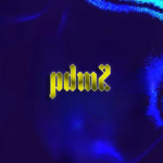 PDM2
