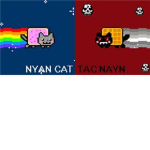 Nyan CaTac Nayn
