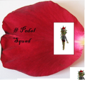 Roblox JessicaGamer Fans