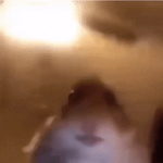 #Kevin <3