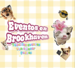 EVENTOS DE BROOKHAVEN