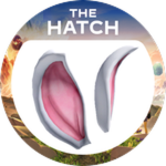 Hatched!