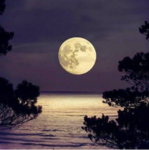 _-Moonlight-_