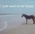 Horse t-shirts