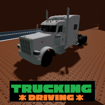 Trucking Driving: Test