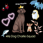 #My Dog Charlie Squad