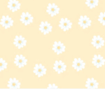 Soft_roupinhas
