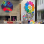 mia’s dhc shop