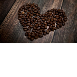CoolBeanss Obby