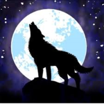 Silver Wolf Fan