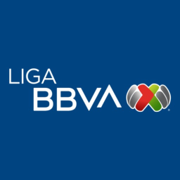 Liga MX Main field