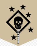 Navy Forces Raiders