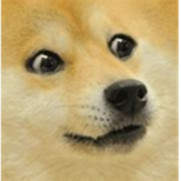 Doge Meetings