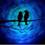 BlueBirdchannel