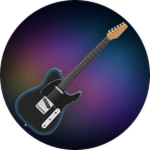 HIT ME HARD AND SOFT Tour Guitar