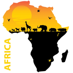 Train To Africa