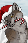 True FURRYS ONLY