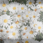 Flowers In The Garden