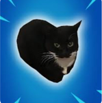Official Maxwell Cat Fan Group