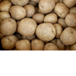 Winter Potato Lucky
