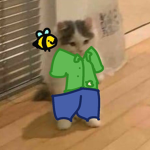 Moe Moe