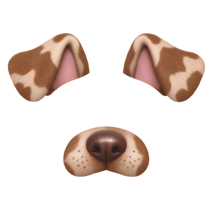 Dog Filter