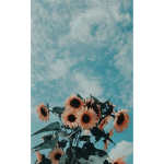 Cloud vibes army