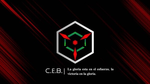 C.E.B. | Organización.