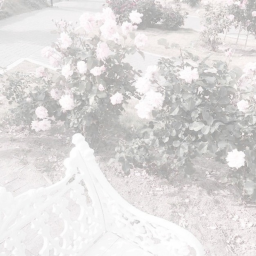 ✿ ˚࿔